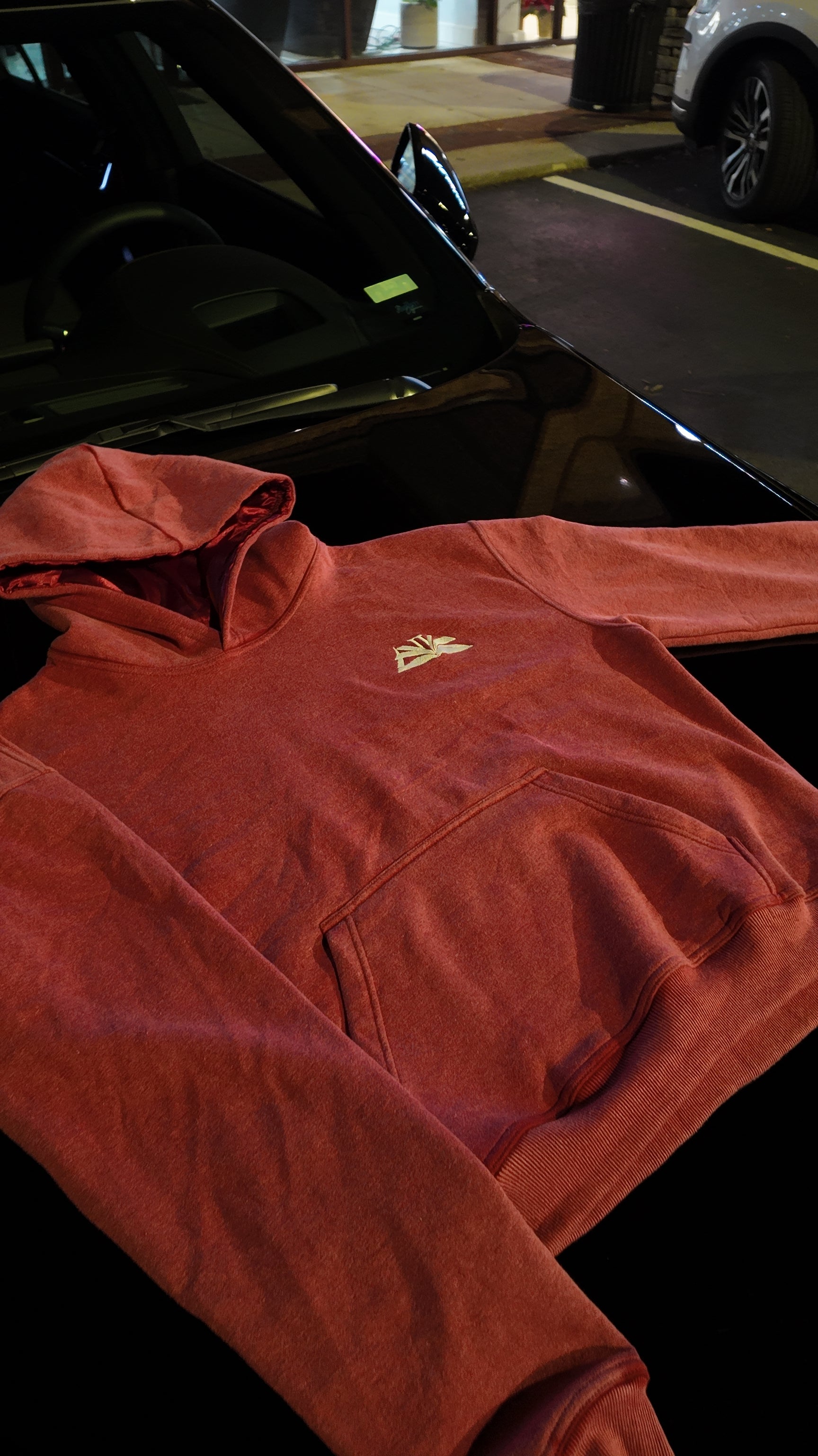 Billion dollar Brain hoodie