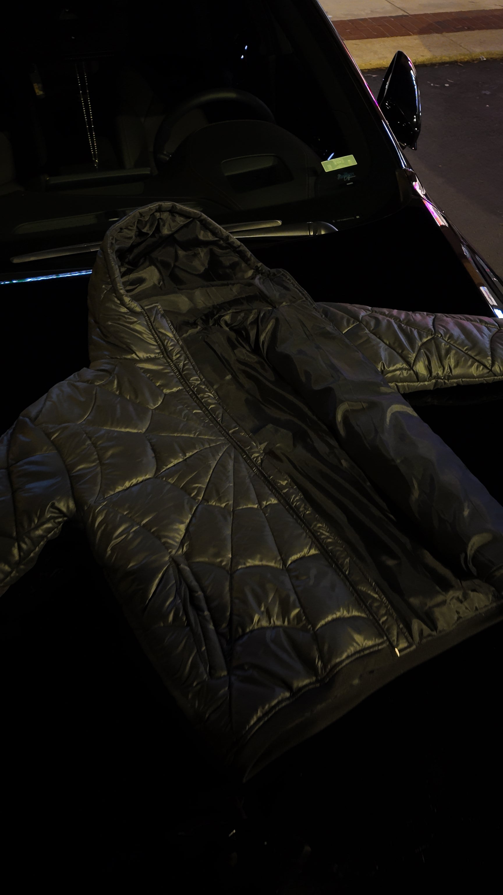 SPIDER PUFFER