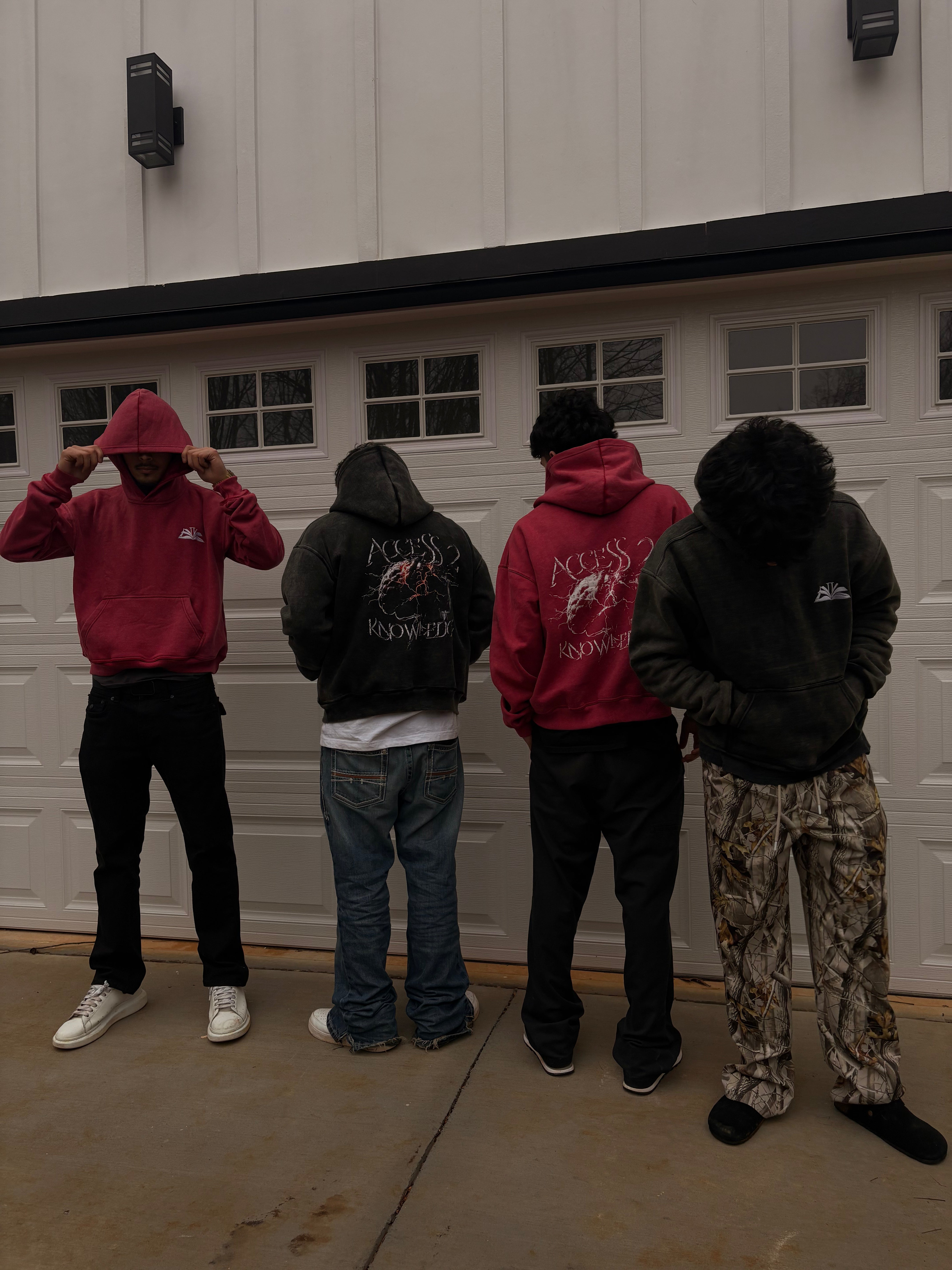Billion dollar Brain hoodie